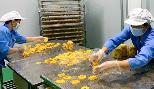 Hàng Tết dồi dào, chỉ lo sức mua