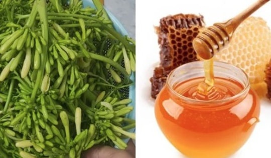 Dùng hoa đu đủ đực ngâm mật ong để chữa bệnh, nếu có dấu hiệu này cần dừng ngay!