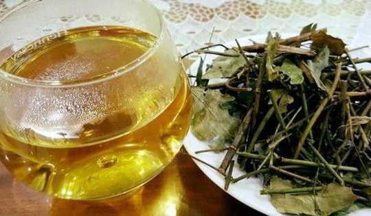 Loại thảo dược giúp đánh tan mỡ thừa, làm sạch mạch máu, người Việt nên dùng thường xuyên để phòng bệnh!