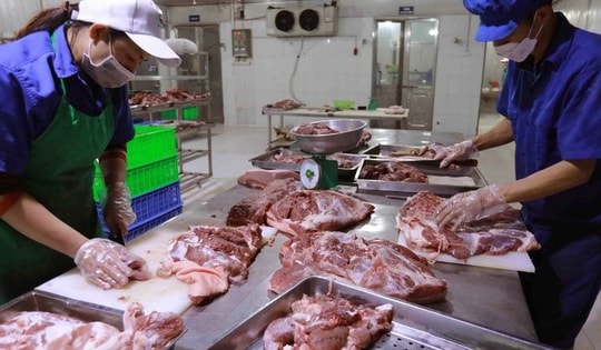 Nguồn cung dồi dào, không lo thiếu thịt lợn trong dịp Tết Giáp Thìn