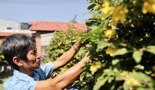 Mua hoa ế cho dân vào chiều 30 Tết