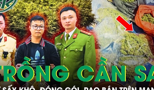 Liều lĩnh tự trồng cần sa tại nhà, đóng gói và đăng bán trên mạng xã hội