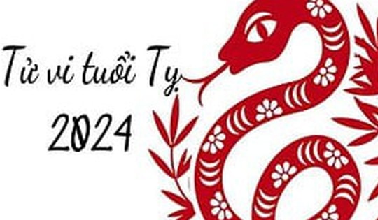 Dự báo chi tiết vận khí tuổi Tỵ năm 2024 Giáp Thìn