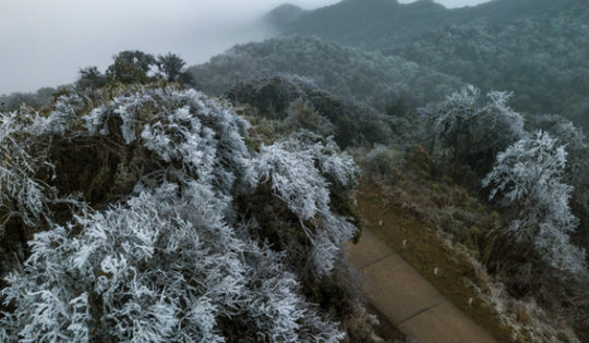 Đón không khí lạnh mạnh đúng dịp tiết Đại hàn, miền Bắc rét đậm kéo dài kèm mưa nhỏ