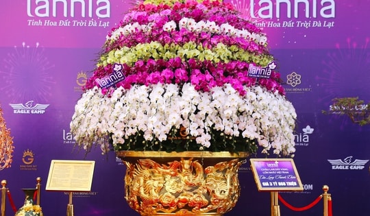 Ngắm chậu lan hồ điệp mạ vàng 24K, nặng hơn 1 tấn, nhìn giá ai cũng 'choáng váng'