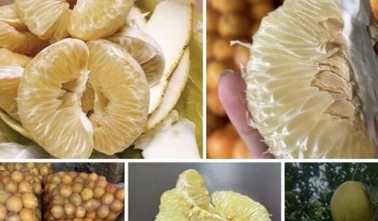 Bưởi Diễn ngon ngọt, ăn như thế nào để giữ dáng, đẹp da và giảm cân hiệu quả?