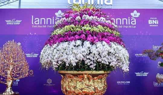 Choáng váng chậu lan hồ điệp 9 tầng giá hơn 3,8 tỷ đồng ở Hà Nội