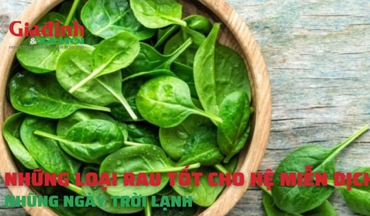 Những loại rau tốt cho hệ miễn dịch những ngày trời lạnh