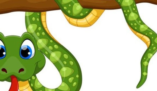 Tử vi tuần mới từ 22/1 - 28/1/2024 gọi tên tuổi Tỵ trong top 4 con giáp may mắn nhất