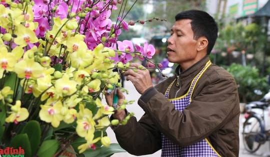 'Trăm hoa khoe sắc' chợ hoa Vạn Phúc rộn ràng vào Xuân