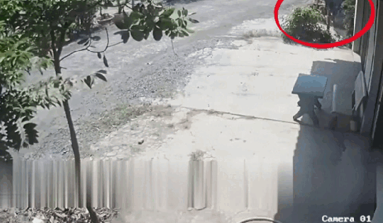 Video: Bất ngờ lao ra từ ngõ nhỏ, nữ sinh điều khiển xe đạp điện gặp nạn thương tâm