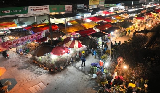 Cận Tết Nguyên đán, chợ hoa lớn nhất Hà Nội không một bóng khách, tiểu thương ế ẩm chơi dài