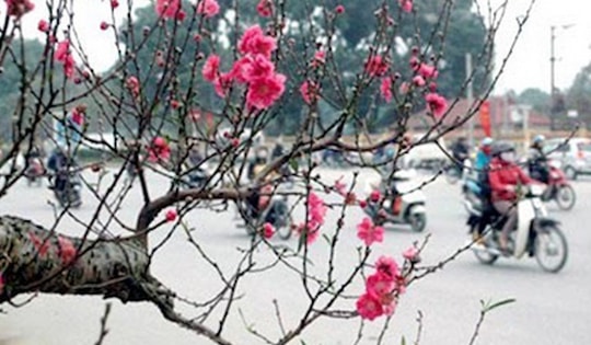 Không khí lạnh liên tục tăng cường, miền Bắc sẽ rét cỡ nào trong dịp Tết Nguyên đán?