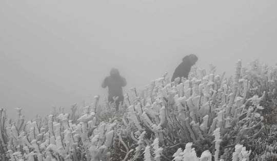 Tin sáng 28/7: Thực hư vụ nữ sinh lớp 6 bị bạn dùng dao rọc giấy rạch mặt; Miền Bắc còn rét buốt mấy ngày nữa thì nắng?