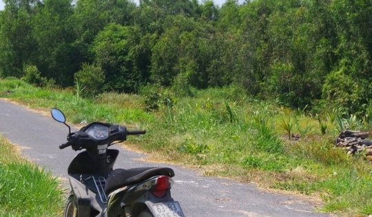 Phát hiện bộ xương người đã phân hủy trong rừng tràm