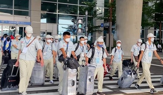 Mỏ vàng xuất khẩu lao động, người dân cần rõ các thông tin quan trọng này nếu muốn đổi đời