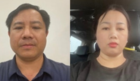 Bắt 2 vợ chồng lừa đảo chiếm đoạt 1,4 tỷ đồng