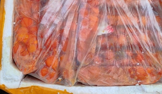 Phát hiện 1 tấn nội tạng động vật hôi thối chuẩn bị ra thị trường