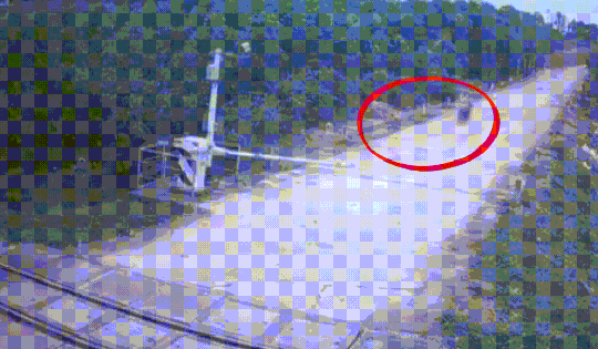 Video: Lái xe sau khi uống rượu, nam thanh niên nhận 'bài học' nhớ đời