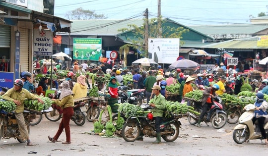 Nhộn nhịp chợ chuối cuối năm