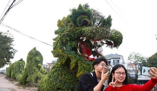 Bất ngờ diện mạo mới của cặp rồng xanh ở Vinh sau 'thẩm mỹ'