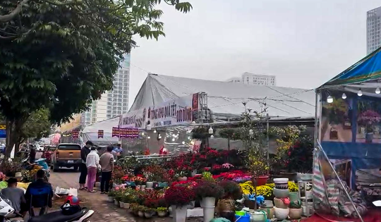 Hà Nội yêu cầu xử nghiêm vụ tự xưng công an Hà Nội để thu phí 'lốt' bán cây cảnh Tết giá cao