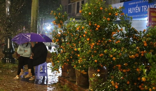 Tiểu thương bán đào, quất co ro trong mưa rét ngóng khách đêm 29 tháng Chạp