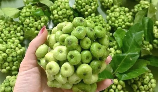 Loại quả ngày thường vừa bán vừa cho tăng vọt giá vào 30 Tết tới 250.000/kg: Dùng để thắp hương cầu sung túc cả năm