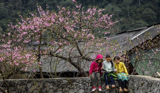 Chọn đi du lịch và không chúc tụng: Tết của người Hà Nội đã bớt truyền thống?