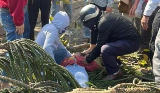 Vụ cô gái bán hoa dịp valentine bị cây đổ đè trúng: Nạn nhân đã tử vong