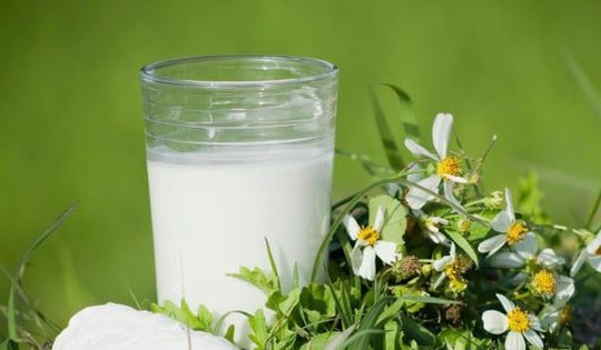 7 loại nước uống có thể giúp ‘giải’ rượu