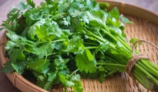 Bất ngờ 7 nhóm người này được khuyến cáo không nên ăn rau mùi