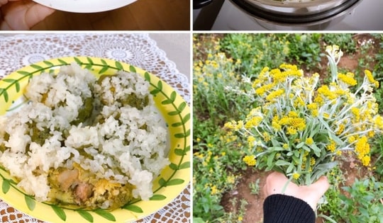 Loại rau mùa xuân mọc dại đầy vườn, giúp trị cảm lạnh và cao huyết áp cực hiệu quả