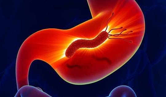 Vi khuẩn H.P gây viêm dạ dày lây qua đường nào?