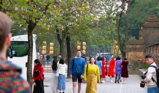 Ngắm hoa ban khoe sắc trên đường phố Hà Nội, người dân xúng xính váy áo ‘check in’