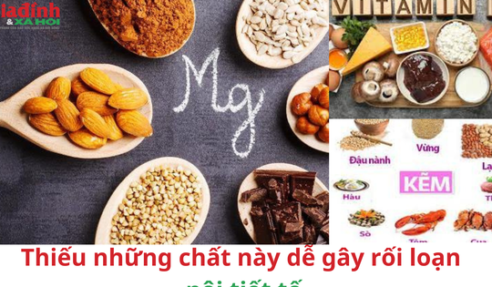 Thiếu những chất này dễ gây rối loạn nội tiết tố