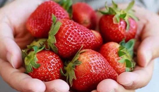 Ăn dâu tây vào thời điểm này còn tốt hơn thuốc bổ, nên áp dụng 4 món ăn bài thuốc từ dâu tây