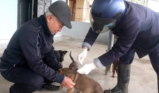 Thông tin mới nhất vụ 13 học sinh và thầy giáo bị chó dại tấn công