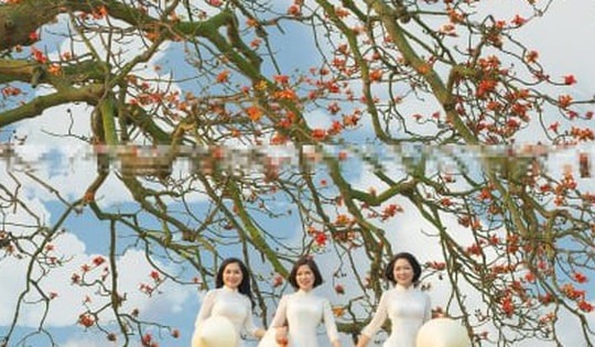 Bỏ tiền triệu săn tour chụp ảnh hoa gạo