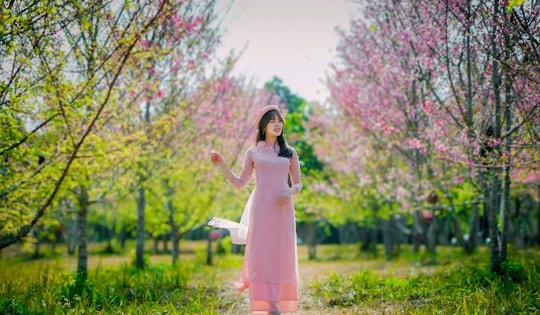 Hàng loạt chương trình hấp dẫn sẽ diễn ra tại lễ hội Hoa Ban 2024