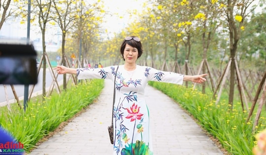 Chị em ‘phát sốt’ với con đường hoa Phong Linh vàng rực ở Hà Nội