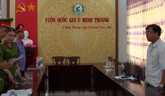 Bắt nguyên giám đốc Vườn quốc gia U Minh Thượng