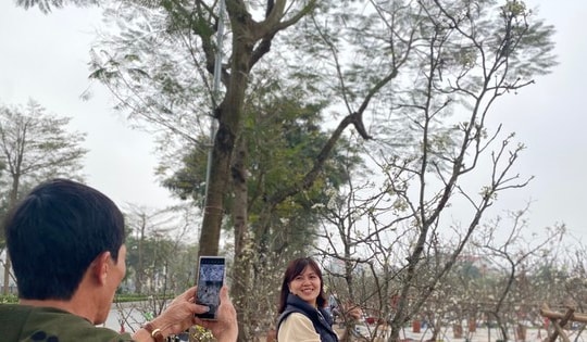 Người Hà Nội thích thú 'ăn chơi' hết tháng Giêng với hoa lê rừng