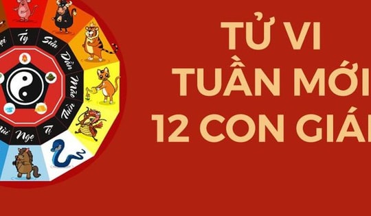 Tử vi tuần mới từ 11/3 đến 17/3/2024: Hết lận đận, 4 con giáp này mở cửa đón Thần Tài, thu nhập nhiều khởi sắc