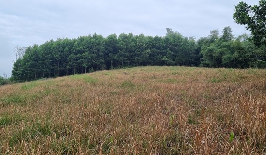 Số phận nhà máy điện năng lượng mặt trời lớn nhất xứ Thanh được định đoạt như thế nào?