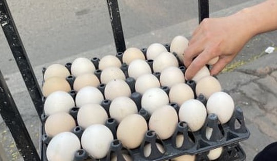 Trứng gà rớt giá thảm chỉ còn 1.500 đồng/quả, nông dân lỗ 1,5 triệu đồng/ngày