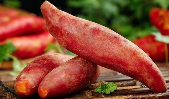 Ăn khoai lang cần tránh 3 thời điểm này để phòng bệnh dạ dày và bệnh đường tiêu hóa