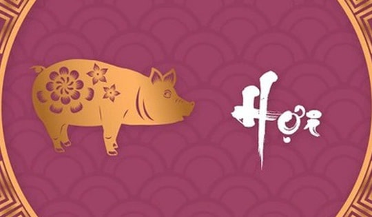 Tử vi tháng 2/2024 âm lịch tuổi Hợi vận trình sáng lạng, dự báo có những điều đặc biệt xuất hiện