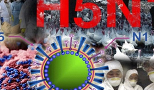 Nam sinh 21 tuổi tử vong do mắc cúm A H5, đây là dấu hiệu nhận biết và cách phòng bệnh hiệu quả nhất