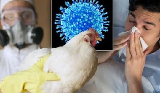Thông tin mới nhất vụ nam sinh tử vong do cúm A/H5N1, đây có thể là yếu tố dịch tễ lây nhiễm bệnh